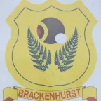 Brackenhurst Bowling Club — club website and competition management system, Alberton, Gauteng